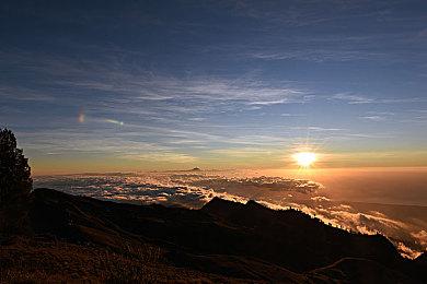 《流放之路2》EA版新预告和过场动画 超越暗黑4